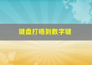 键盘打唔到数字键