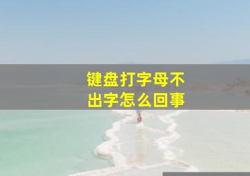 键盘打字母不出字怎么回事