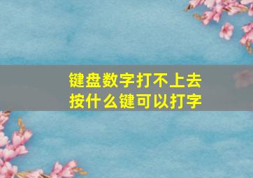 键盘数字打不上去按什么键可以打字