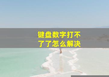 键盘数字打不了了怎么解决