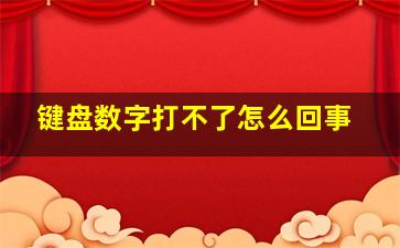 键盘数字打不了怎么回事