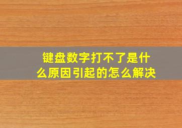 键盘数字打不了是什么原因引起的怎么解决