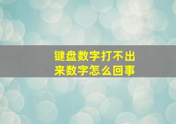 键盘数字打不出来数字怎么回事