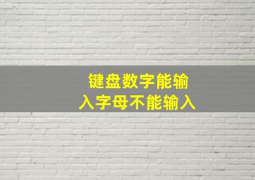 键盘数字能输入字母不能输入