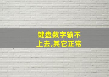 键盘数字输不上去,其它正常