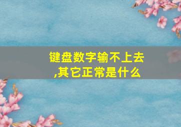 键盘数字输不上去,其它正常是什么