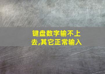 键盘数字输不上去,其它正常输入