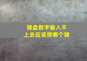 键盘数字输入不上去应该按哪个键