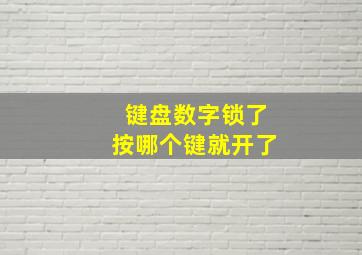 键盘数字锁了按哪个键就开了