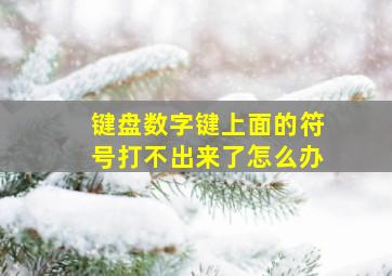 键盘数字键上面的符号打不出来了怎么办