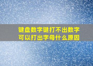 键盘数字键打不出数字可以打出字母什么原因