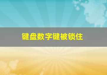 键盘数字键被锁住