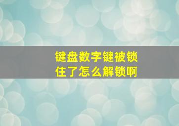 键盘数字键被锁住了怎么解锁啊