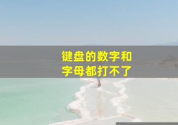 键盘的数字和字母都打不了