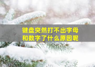 键盘突然打不出字母和数字了什么原因呢