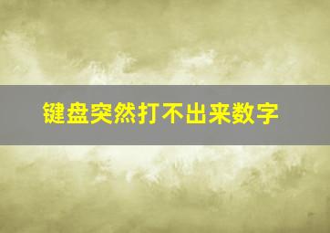 键盘突然打不出来数字