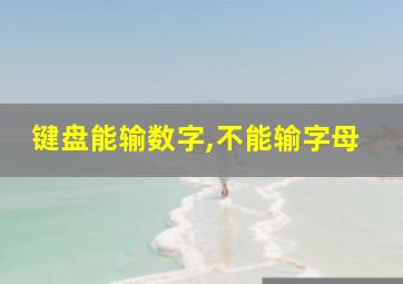 键盘能输数字,不能输字母