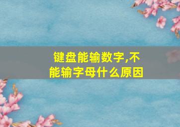 键盘能输数字,不能输字母什么原因