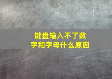 键盘输入不了数字和字母什么原因