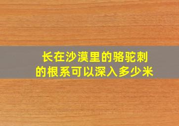 长在沙漠里的骆驼刺的根系可以深入多少米