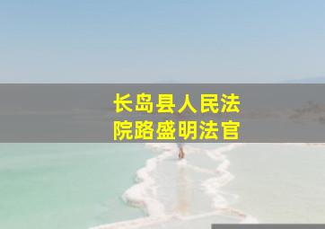 长岛县人民法院路盛明法官