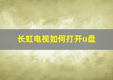 长虹电视如何打开u盘