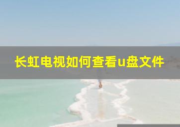 长虹电视如何查看u盘文件