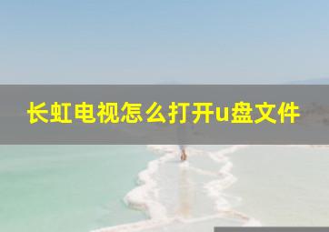 长虹电视怎么打开u盘文件