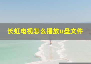 长虹电视怎么播放u盘文件