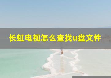 长虹电视怎么查找u盘文件