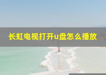 长虹电视打开u盘怎么播放