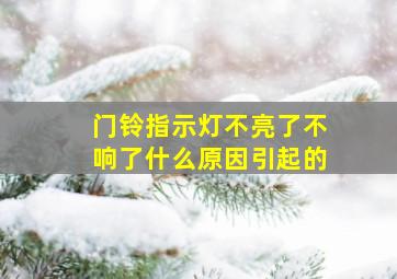 门铃指示灯不亮了不响了什么原因引起的