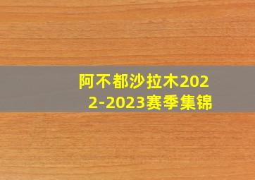 阿不都沙拉木2022-2023赛季集锦