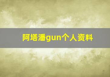 阿塔潘gun个人资料