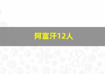 阿富汗12人