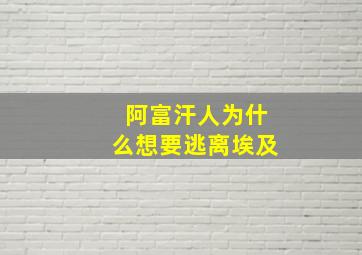 阿富汗人为什么想要逃离埃及