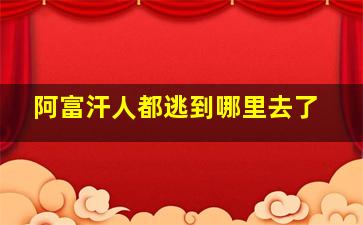 阿富汗人都逃到哪里去了