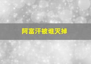 阿富汗被谁灭掉