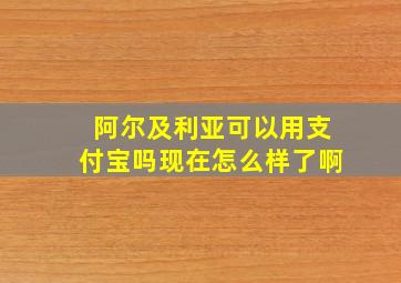 阿尔及利亚可以用支付宝吗现在怎么样了啊