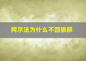 阿尔法为什么不回狼群