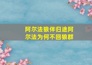 阿尔法狼伴归途阿尔法为何不回狼群