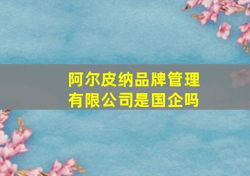 阿尔皮纳品牌管理有限公司是国企吗