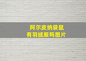 阿尔皮纳袋鼠有羽绒服吗图片