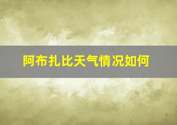 阿布扎比天气情况如何