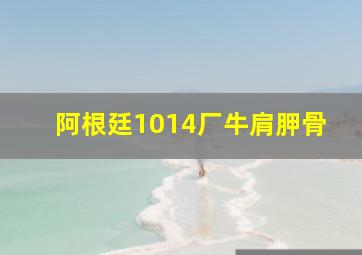 阿根廷1014厂牛肩胛骨