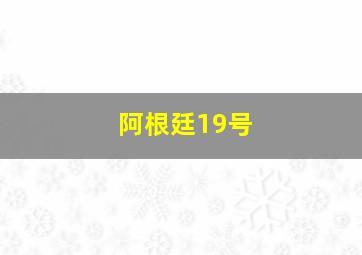 阿根廷19号