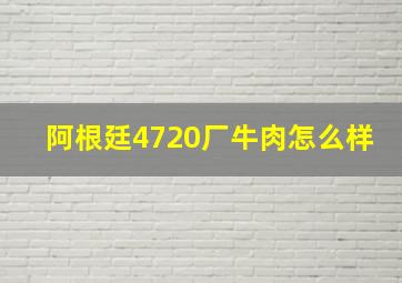 阿根廷4720厂牛肉怎么样