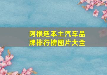 阿根廷本土汽车品牌排行榜图片大全