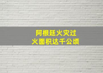 阿根廷火灾过火面积达千公顷