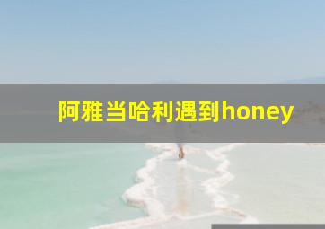 阿雅当哈利遇到honey